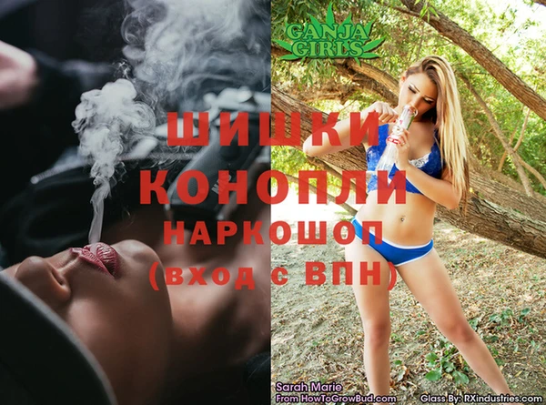 кокс Алексин