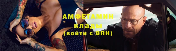 стафф Алзамай