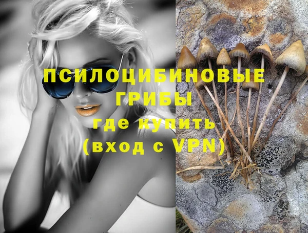 кокс Алексин