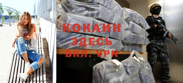 индика Куйбышев
