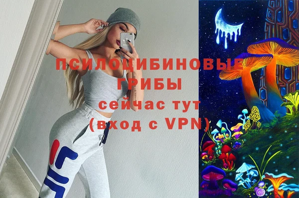 стафф Алзамай
